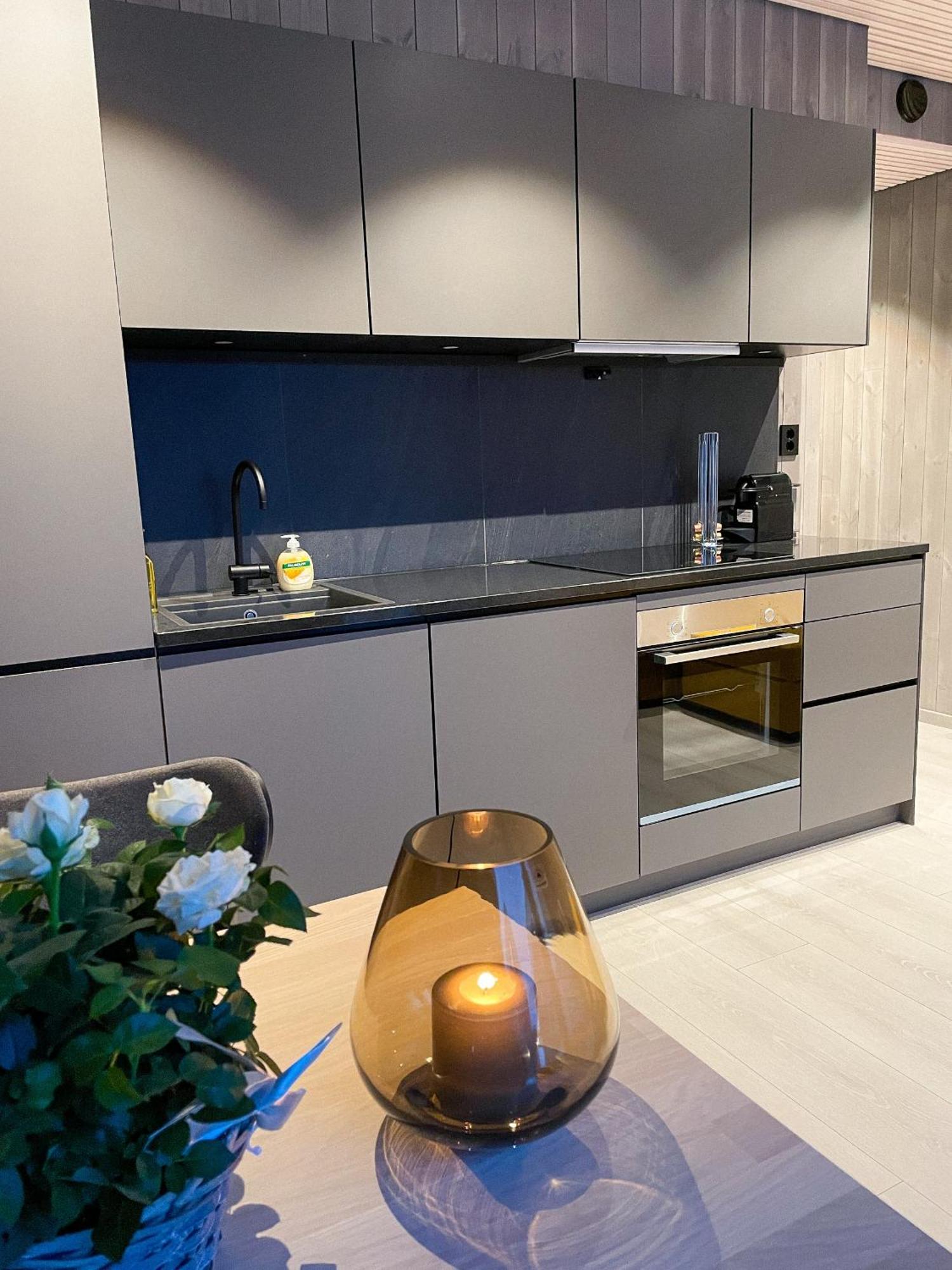 Henningsvaer Lofoten New Apartment エクステリア 写真